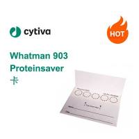 Whatman 903 Proteinsaver 卡