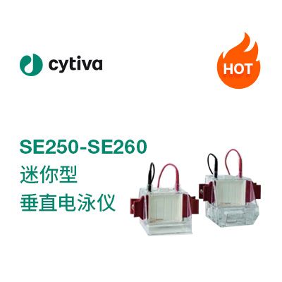 SE250/SE260迷你型垂直电泳仪