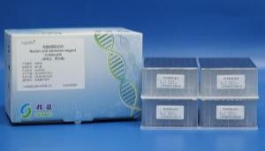 PCR产物为什么需要纯化？