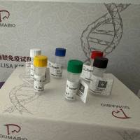 Enterocytozoon hepatopenaei(EHP)虾肝肠微胞虫探针法荧光定量PCR试剂盒