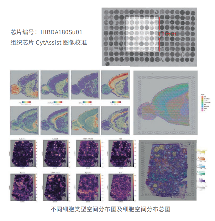 科研技术服务（组织芯片/组织cDNA芯片定制，分子病理检测，