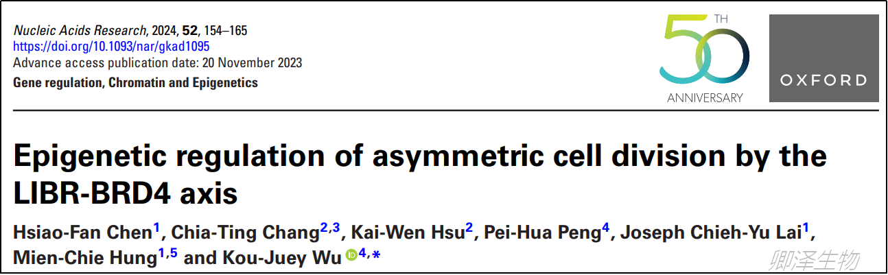 Nucleic Acids Res. | Polysome技术助力揭示细胞不对称分裂的表观遗传调控