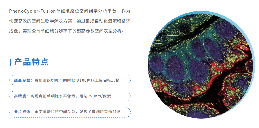 科研技术服务（组织芯片/组织cDNA芯片定制，分子病理检测，