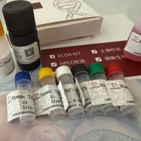 Plasmodium knowlesi诺氏疟原虫探针法荧光定量PCR试剂盒