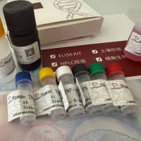 Bovine Hepervirus 3 (BHV-3)牛疱疹病毒3型探针法荧光定量PCR试剂盒