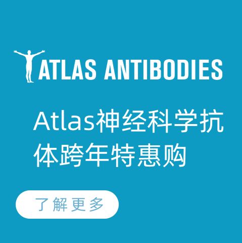 Atlas神经科学抗体跨年特惠购