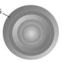 壳核结构上转换发光粒子 | 荧光成像 | Shell-core upconversion particles