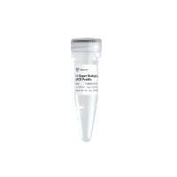 PureAmp U+ Super Multiple Probe qPCR PreMix (Low DNA)（UQN221）