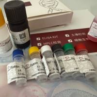 Plasmodium vivax疟原虫探针法荧光定量PCR试剂盒