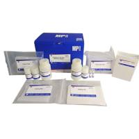 SPINeasy™96孔板血样基因组DNA提取试剂盒