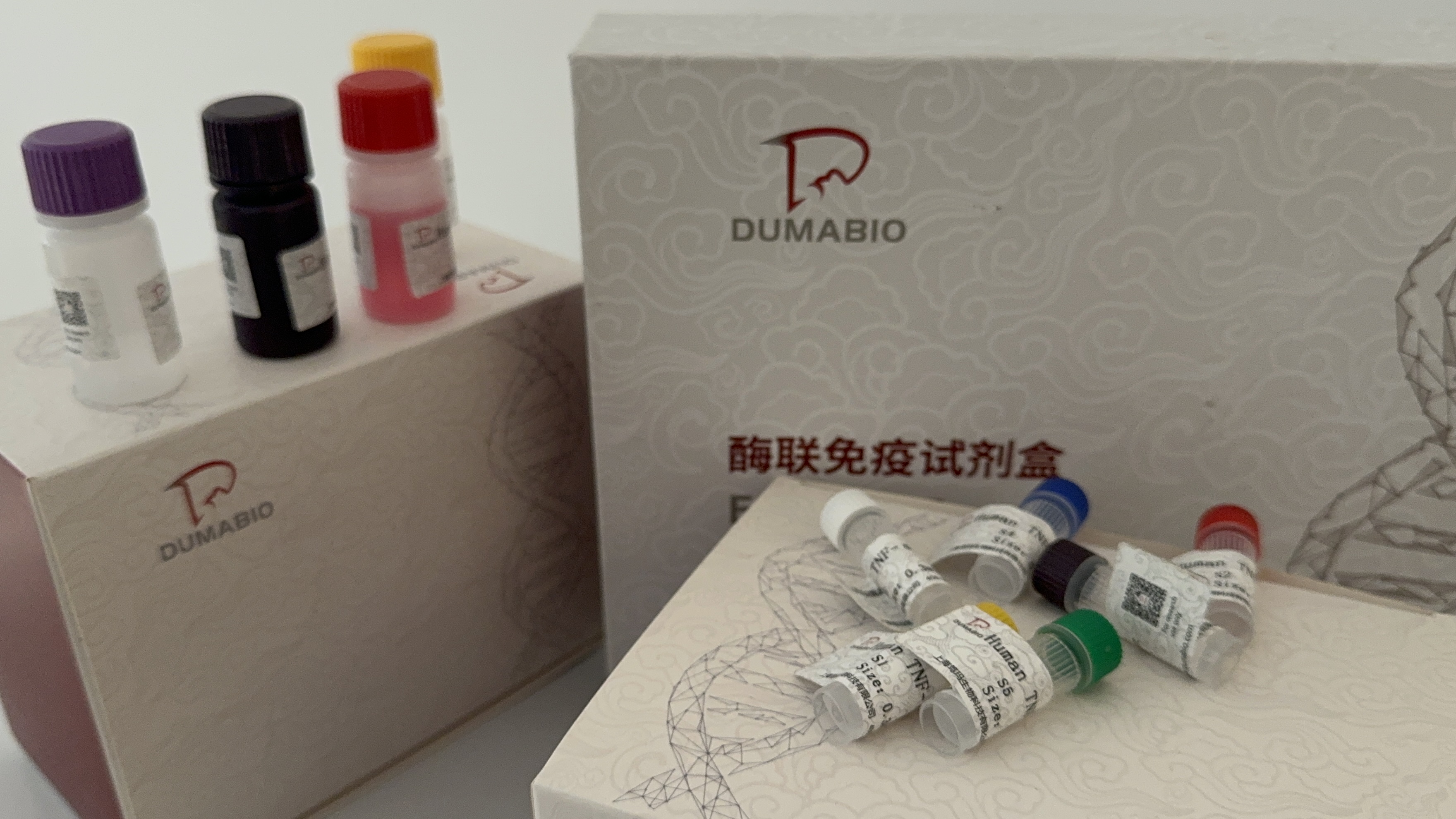 Plasmodium falciparum镰刀疟原虫(恶性疟