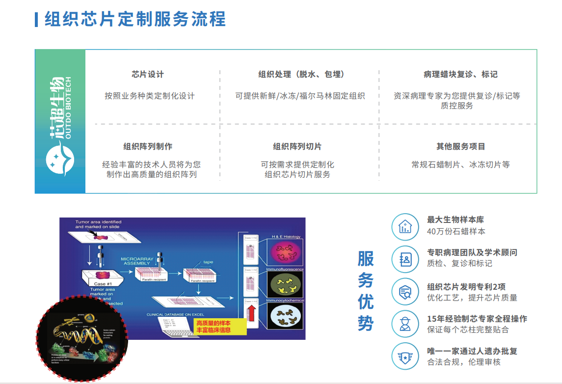 科研技术服务（组织芯片/组织cDNA芯片定制，分子病理检测，