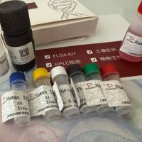 Plasmodium malariae三日疟原虫探针法荧光定量PCR试剂盒