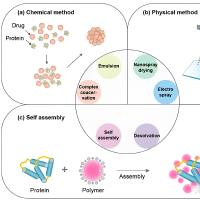 纤维素纳米晶（CNC）颗粒包封维罗非尼（Vem）