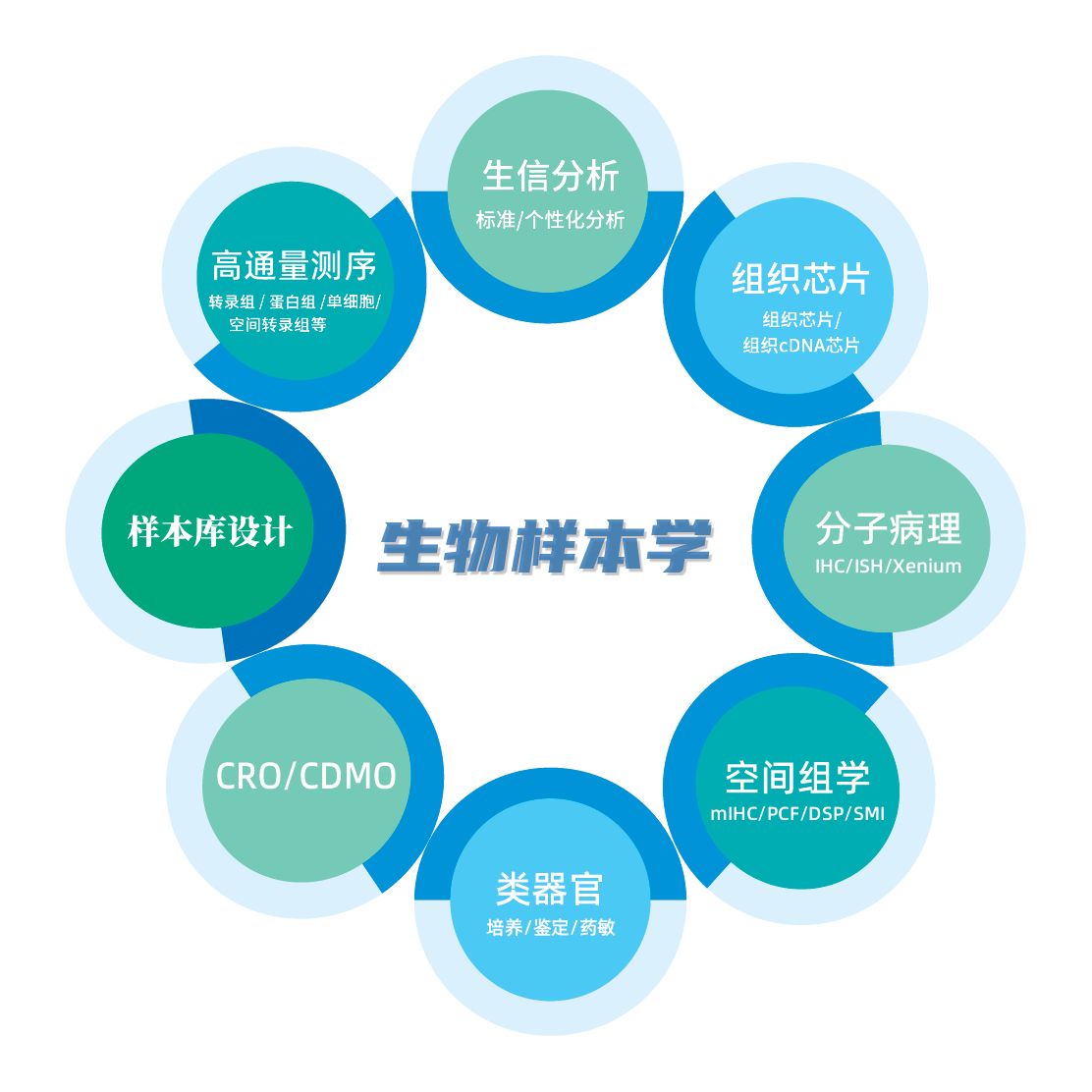 科研技术服务（组织芯片/组织cDNA芯片定制，分子病理检测，高通量测序，空间组学检测，类器官活库建设等）