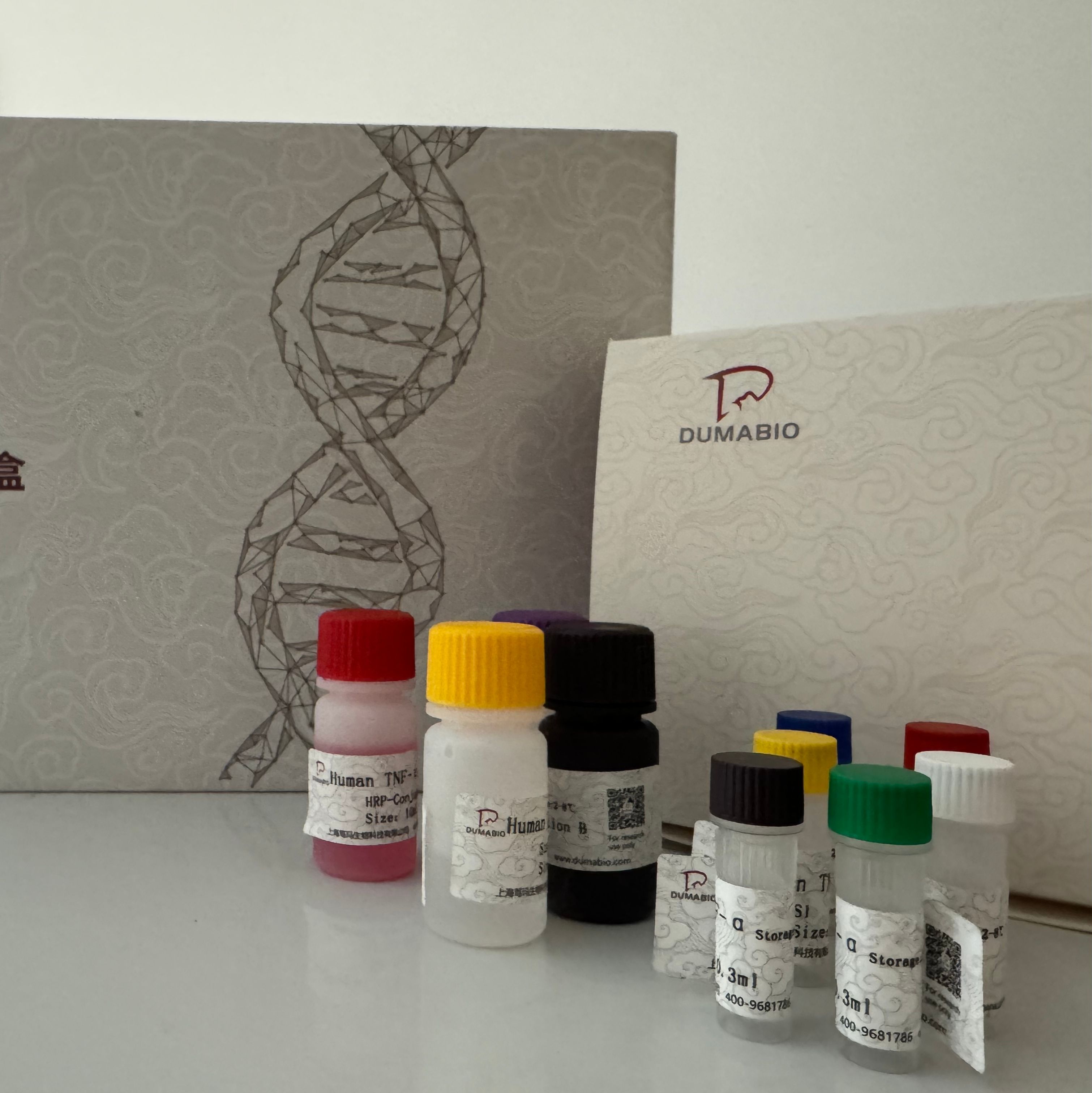 Bacillus spp.芽孢杆菌探针法荧光定量PCR试剂盒