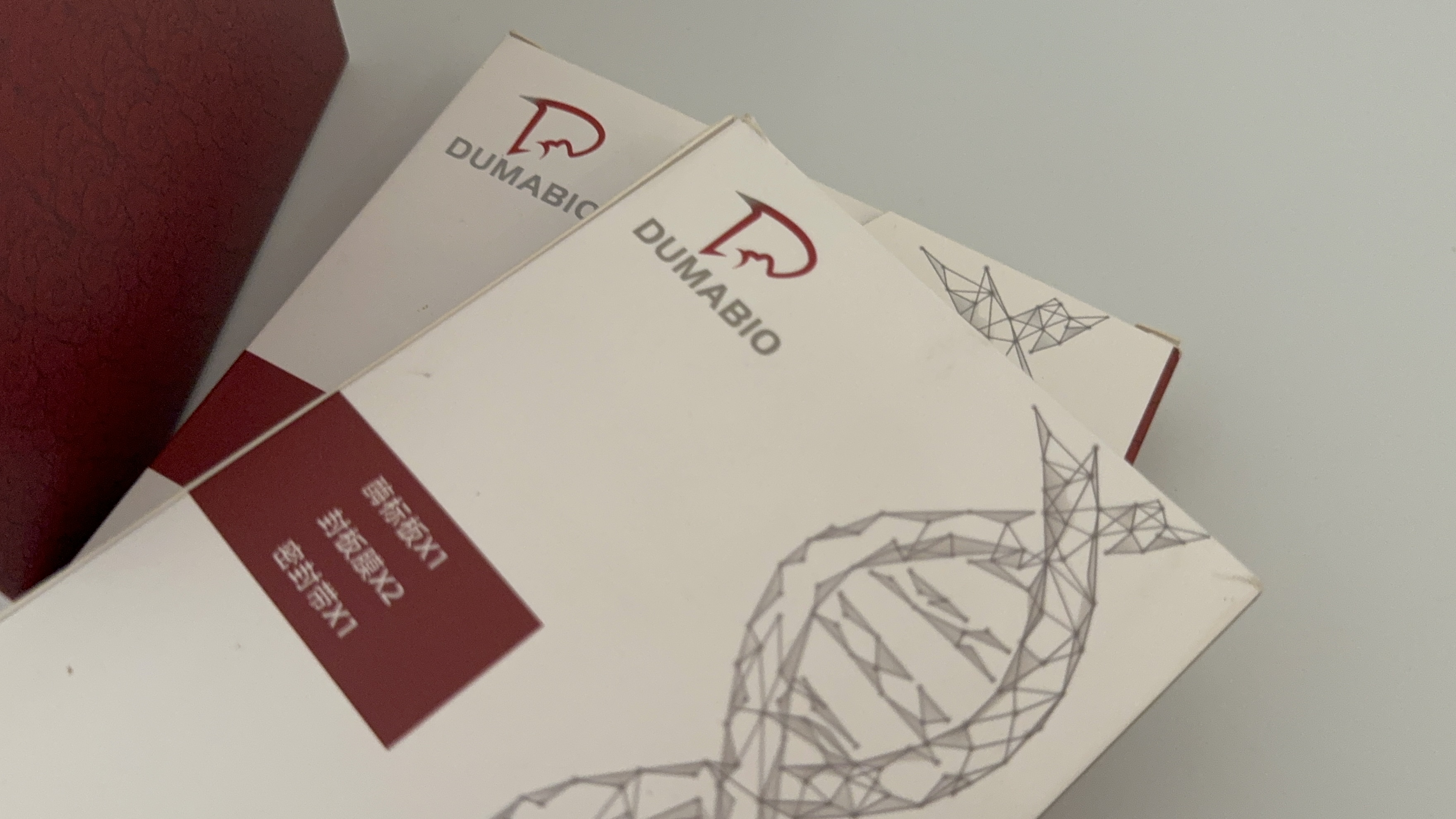 Norwalk  Viruses G5 诺如 病毒G5型探针