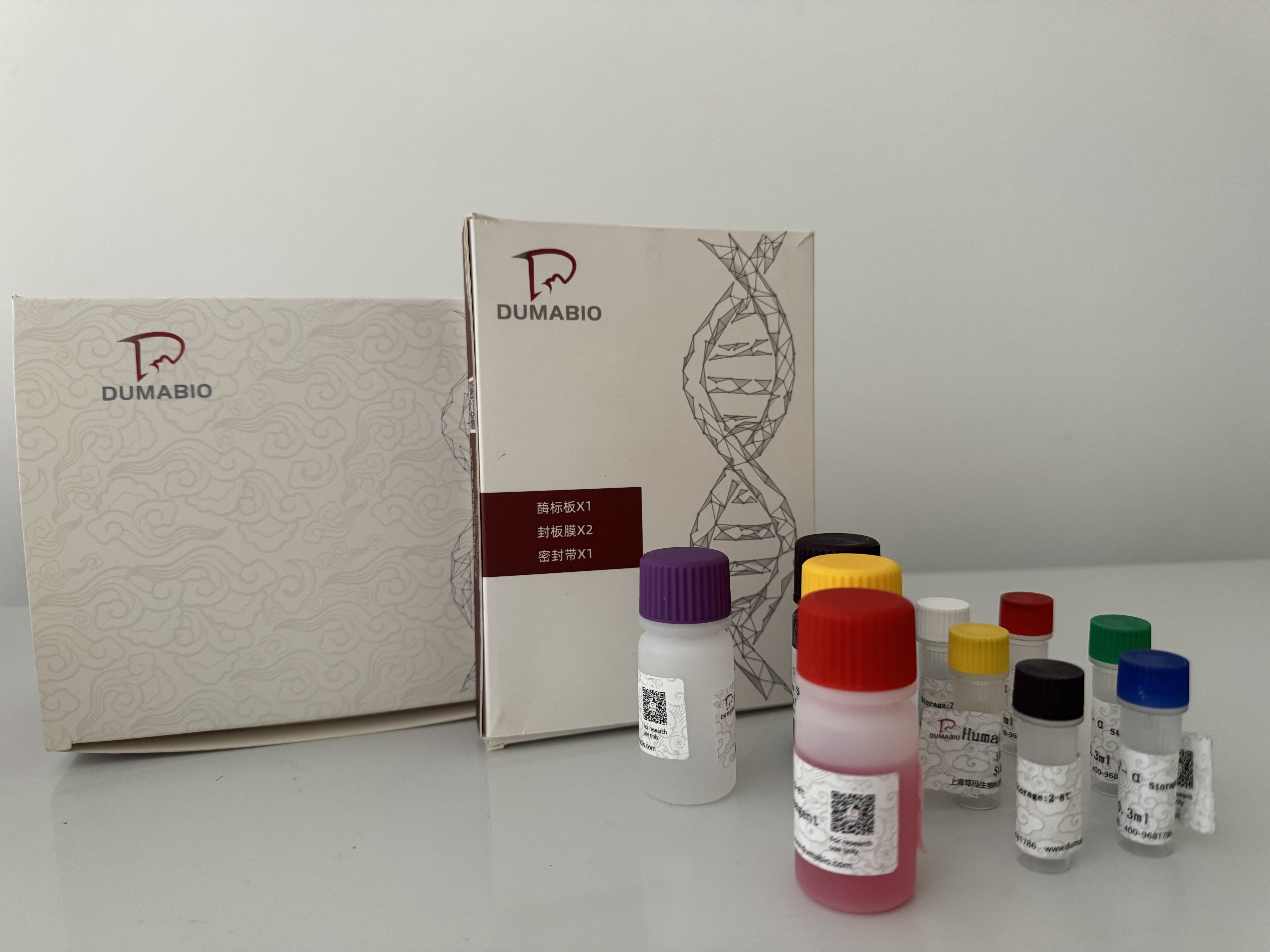 Bacillus spp.芽孢杆菌探针法荧光定量PCR试剂盒