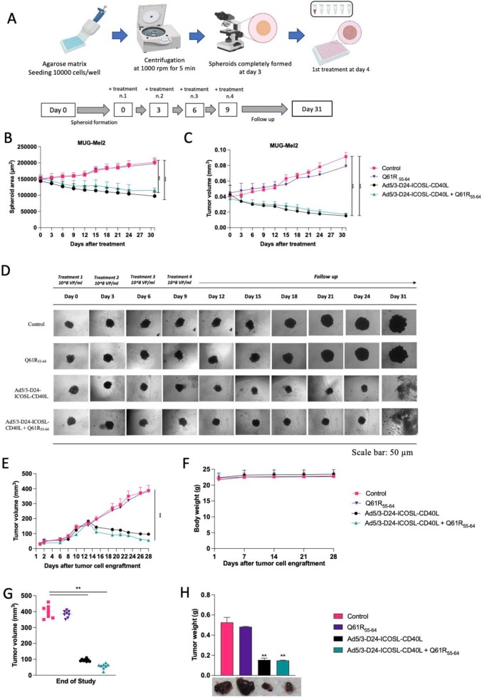 外泌体技术服务