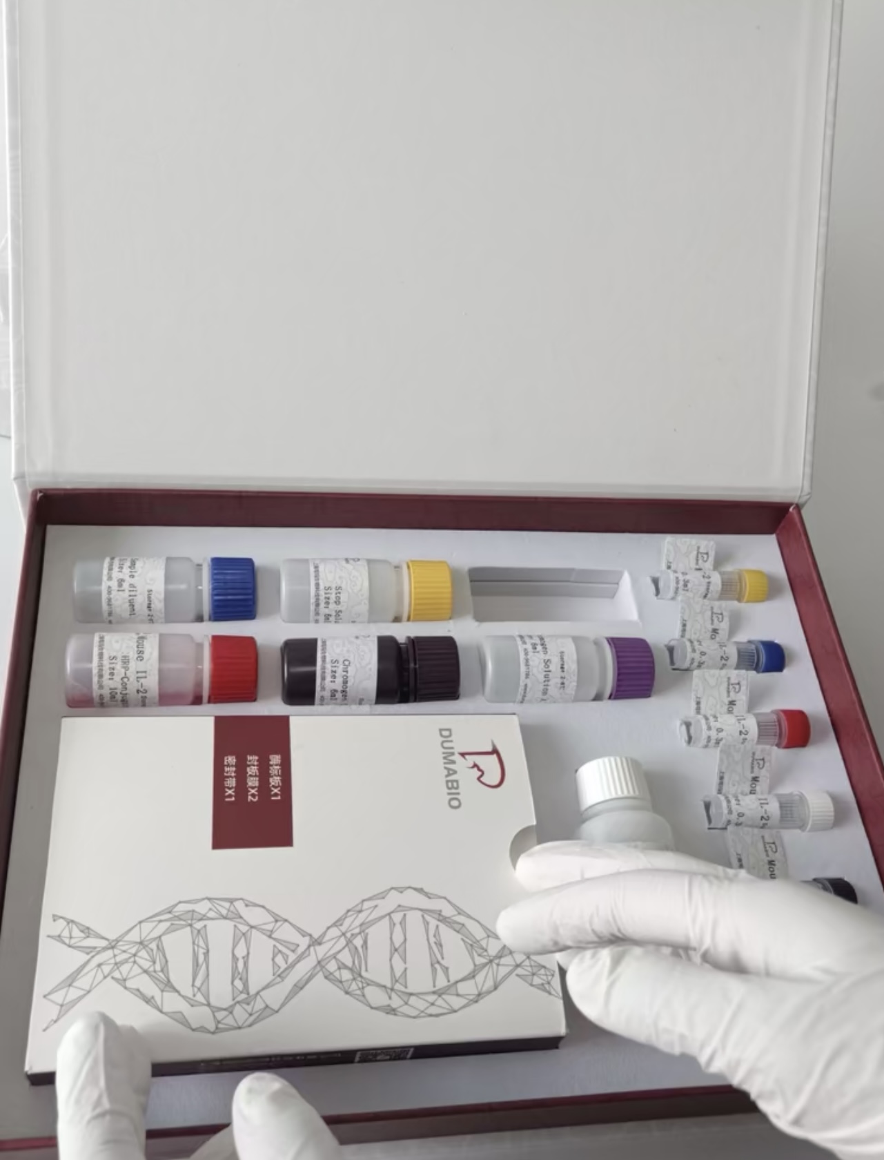 Avian Adenovirus禽腺病毒探针法荧光定量PCR