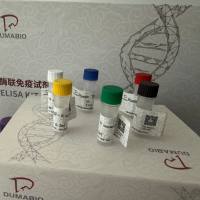 Avian Adenovirus禽腺病毒探针法荧光定量PCR试剂盒