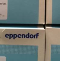 Eppendorf货号0030122410锥底离心管25ml旋盖Eppendorf Quality优质级13611631389上海睿安生物