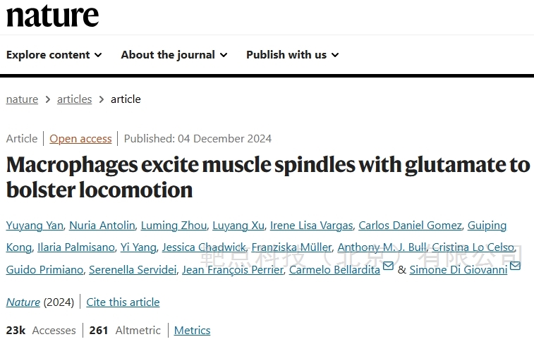 Nature：巨噬细胞是神经元细胞吗？