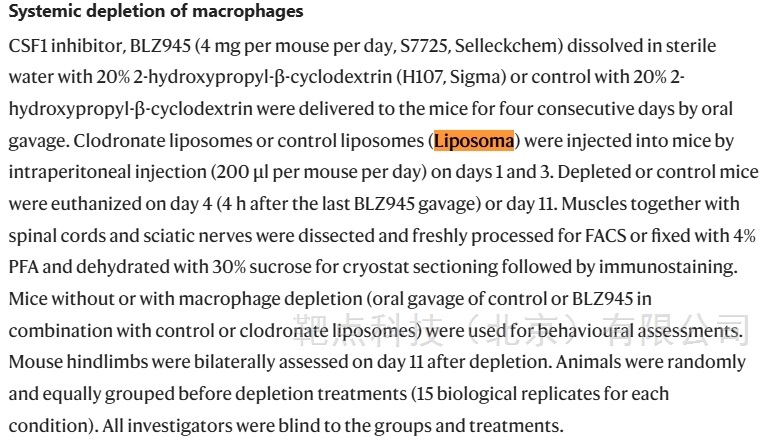 Nature：巨噬细胞是神经元细胞吗？
