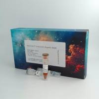 辰辉创聚生物®Nebulabio蛋白纯化工具包