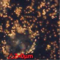 辰辉创聚生物®Nebulabio金纳米颗粒系列产品