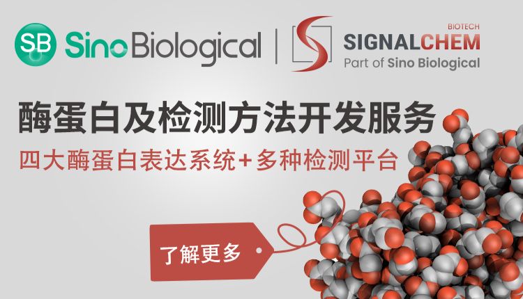 星级推荐：酶蛋白及检测方法开发服务