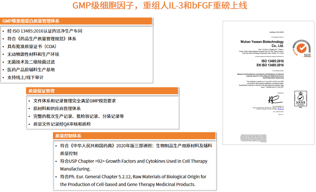 试用!GMP级细胞因子重组人IL-3和人bFGF重磅上市!