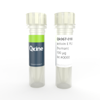 Qkine细胞因子 重组人activin E protein（活化素E蛋白）