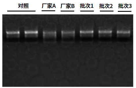 宿主gDNA、试剂背景核酸污染去除只需一款Thermolabile dsDNase!