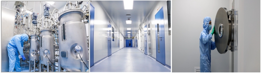 试用!GMP级细胞因子重组人IL-3和人bFGF重磅上市!