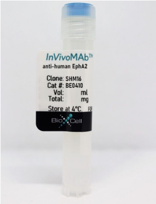 InVivoMAb抗人EphA2：品质好物，速来抢购