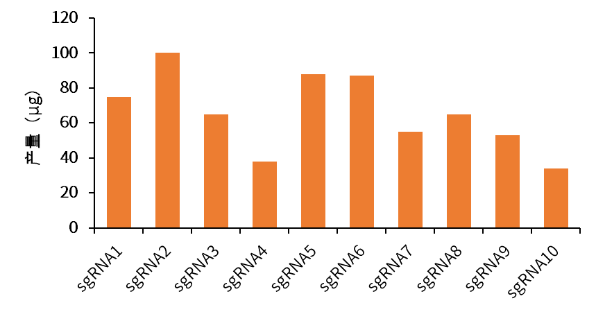 干货 | 基因编辑探秘系列之产品选购指南