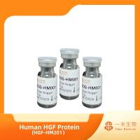 细胞培养，细胞常用细胞生长因子，细胞因子，Human HGF Protein，Hepatopoietin-A; SF; HPTA; HGF; DFNB39; F-TCF; F-TCFB; HGFB，HGF-HM201