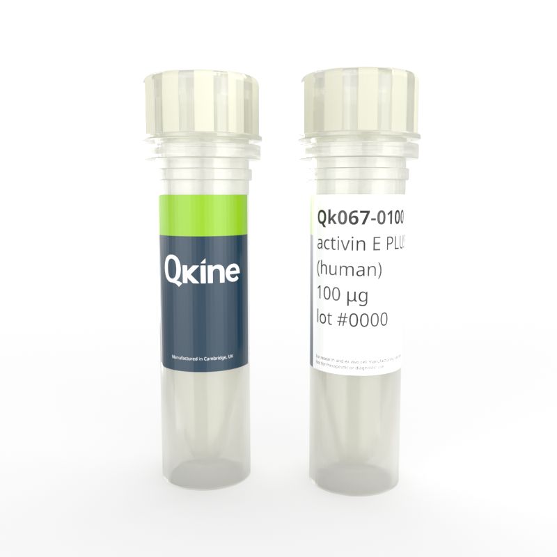Qkine细胞因子 重组人activin E protein(活化素E蛋白)