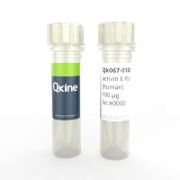 Qkine细胞因子 重组人activin E protein（活化素E蛋白）