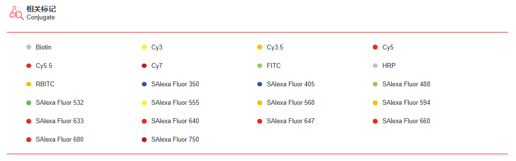 K115431P Anti-ARMC8 Polyclonal