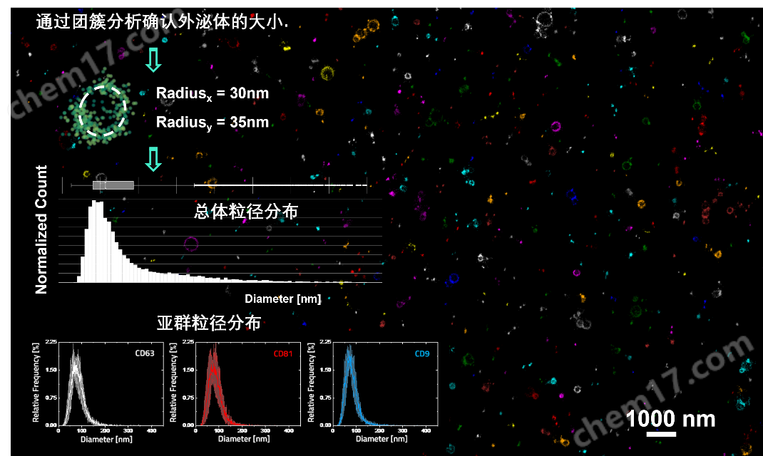 3D全自动外泌体荧光检测分析系统