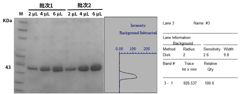 宿主gDNA、试剂背景核酸污染去除只需一款Thermolabile dsDNase!