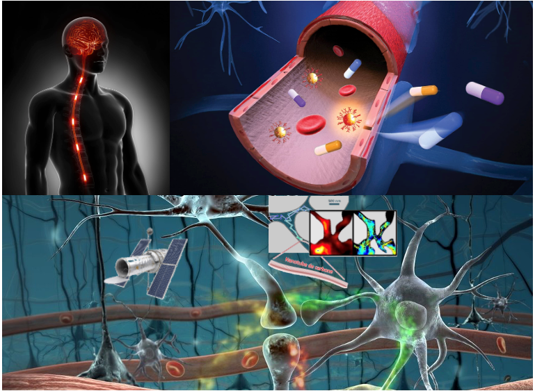 运用纳米技术打开通往“三磅宇宙”的“星际之门”：开发探索大脑内部神秘空间光学探针和微创精准时空可控药物递送方法