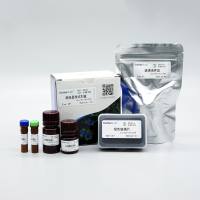 ZX101 膨胀显微试剂盒