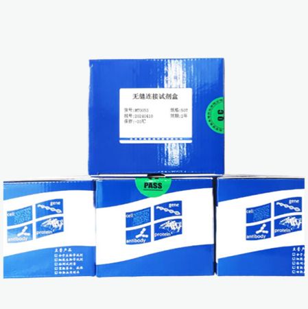 Gibson无缝连接试剂盒