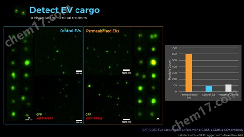 3D全自动外泌体荧光检测分析系统