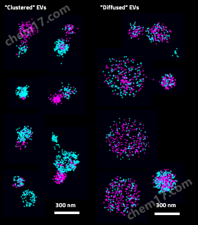 3D全自动外泌体荧光检测分析系统