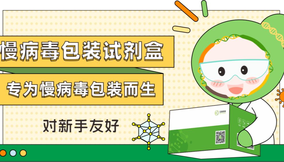 新品发布| 艾迪基因慢病毒包装试剂盒全新上线！高滴度高效率，自主操作无忧下游实验！