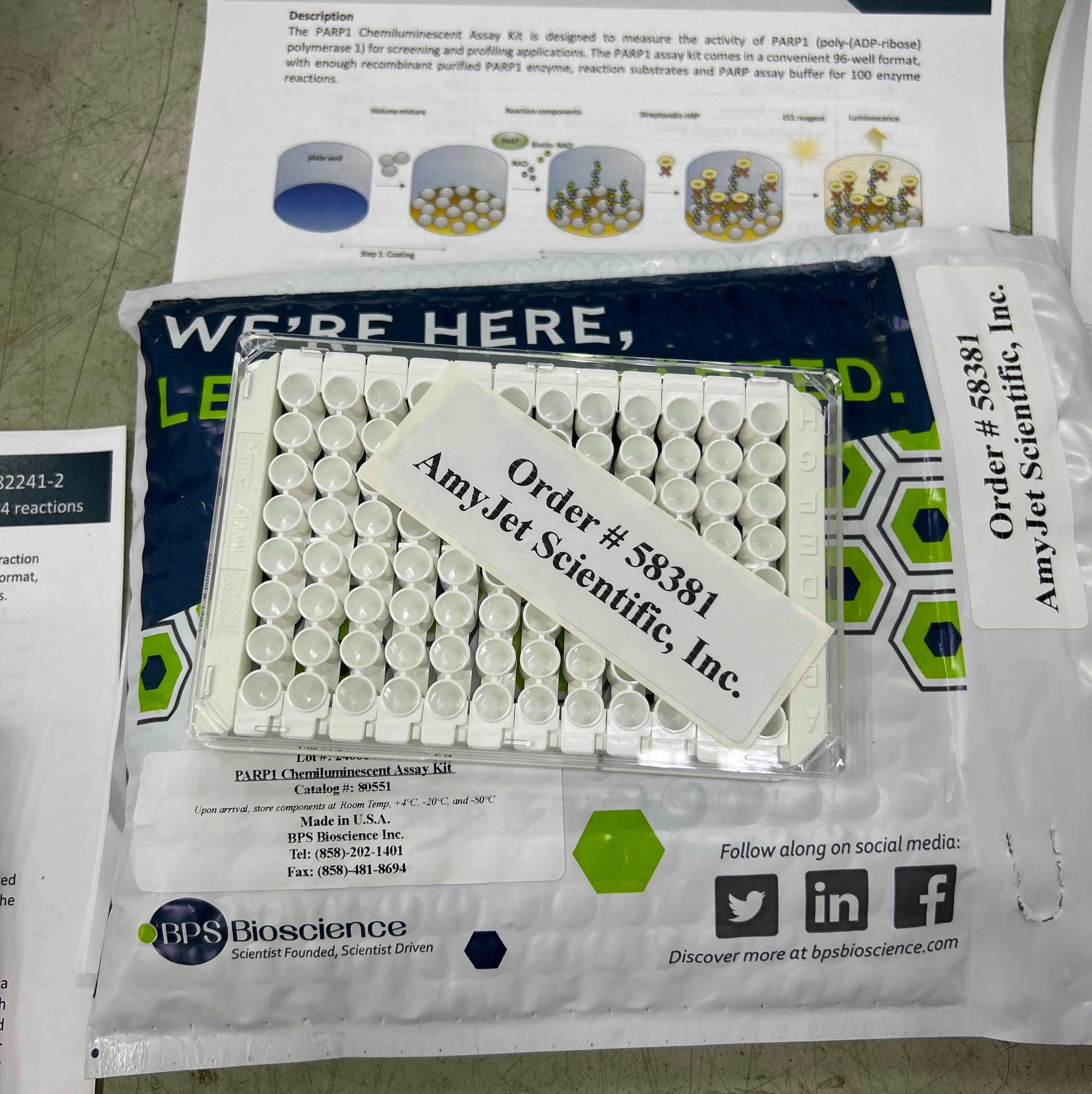 NF-κB Luciferase Reporter A549 Cell Line